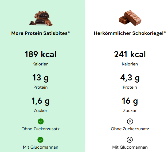 More Protein Satisbites Lebkuchen